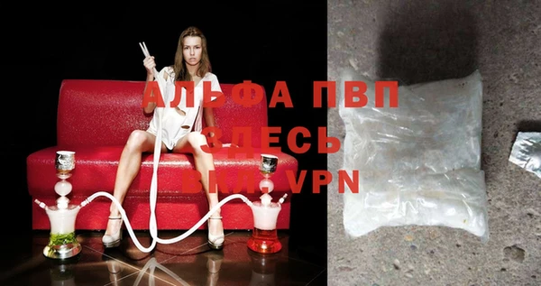 СК Балахна