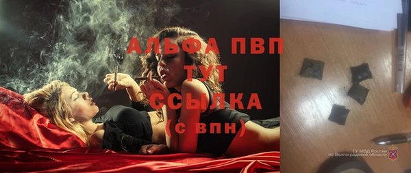 СК Балахна